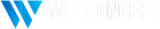strony-internetowe-web-koncept-biale-logo-300x56